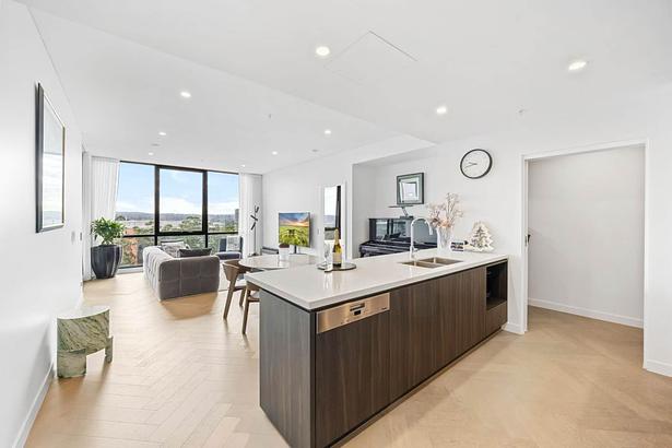 Modern luxury apartment kitchen and living area